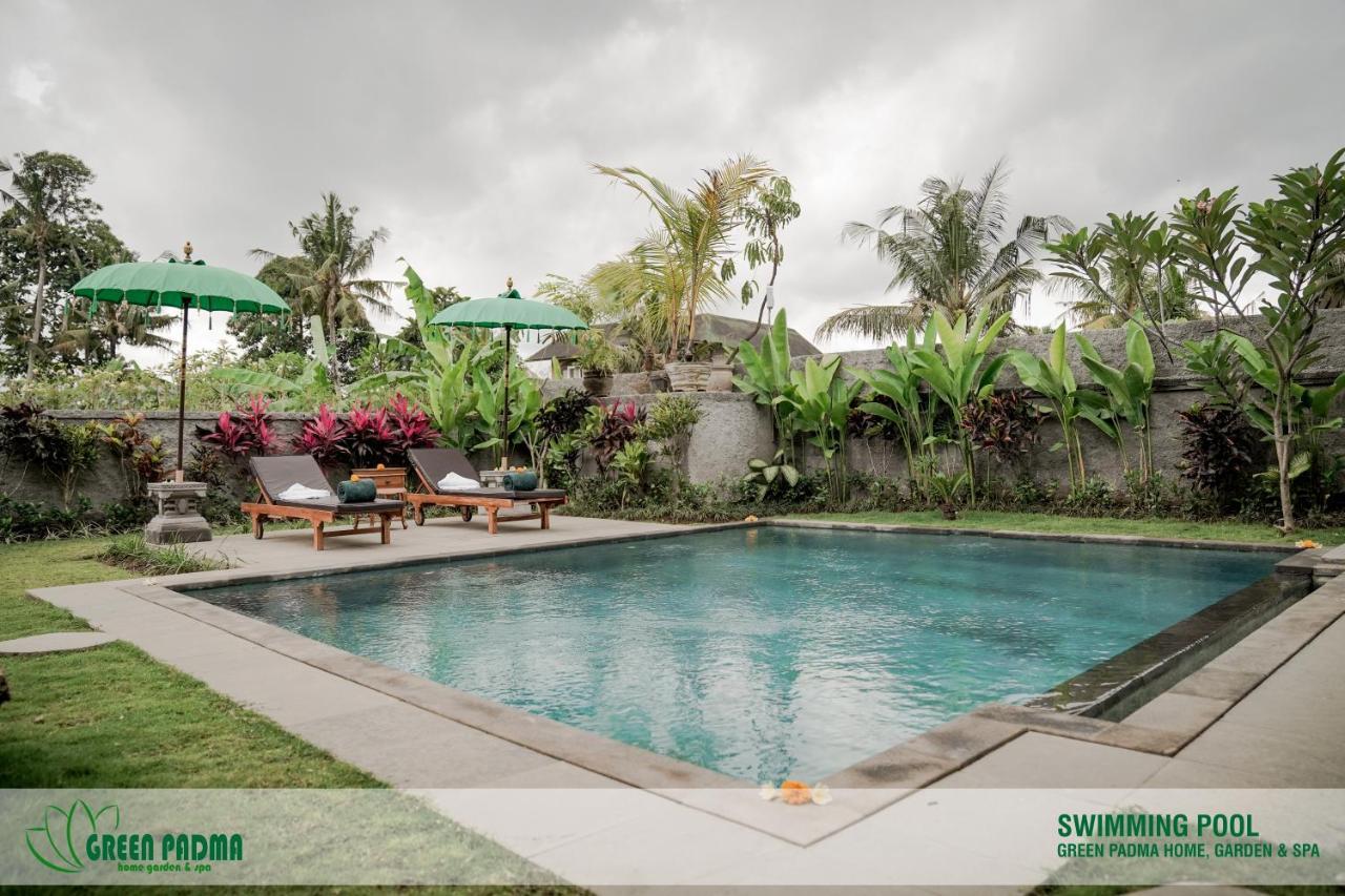 Appartement Padma *